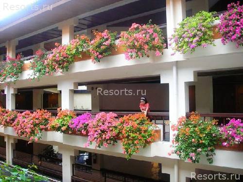 The Westin Resort Nusa Dua 72